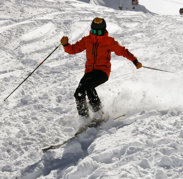 Freeride
